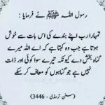 Irfan Ansari